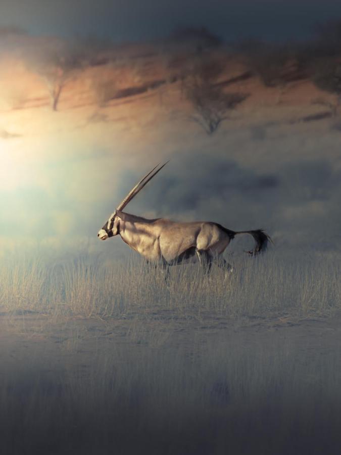 Willa Bagatelle Kalahari Game Ranch Hardap Zewnętrze zdjęcie